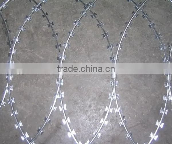 Military Razor Barbed Wire ( High Security ) photo-4