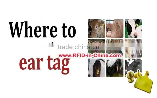 125KHz TK4100 EM4100 Cattle RFID Tag UHF Animal Ear Tags for Cattle photo-6