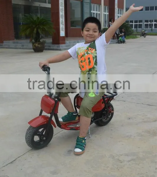 Personal Transportation Hot Sale Best Quality 350W Kid Mini Electric Scooter photo-6