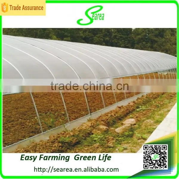 Large Greenhouses Big Greenhouse Manufacturer for Sale photo-4
