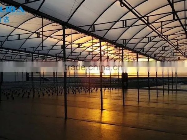 BaoLiDa Large Multi-span Greenhouse Easily Installed PC Sheet Covered Greenhouse photo-3