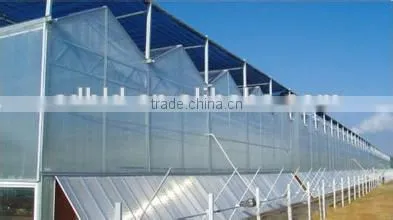 BaoLiDa High Quality PC Covered Greenhouse Hot-dip Galvanized Steel Framework Structure Greenhouse photo-3