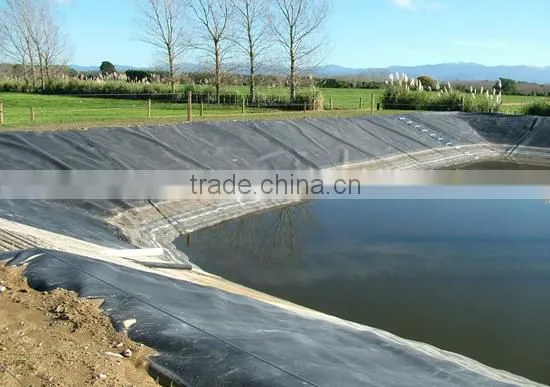 CE/ISO Certificate Geosynthetic Clay Liner With HDPE Geomembrane for Landfill Site photo-4