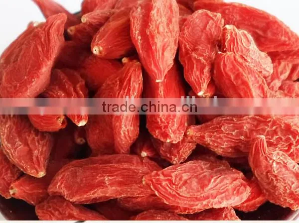 High Quality Organic Herbal Tea Bulk Dried Goji Berry photo-4