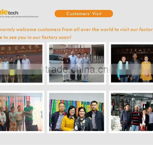 Safety Netting / Cargo Net / Cargo Netting / Trailer Net With Hooks PP PE Material for Germany / Holland / Australia Market photo-4