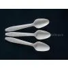 Plastic Spoon Mould