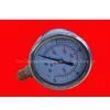 Y63 Seismic Radial Pressure Gauge