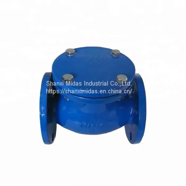BS5153 Cast Ductile Iron Swing Check Valve With Prices photo-3