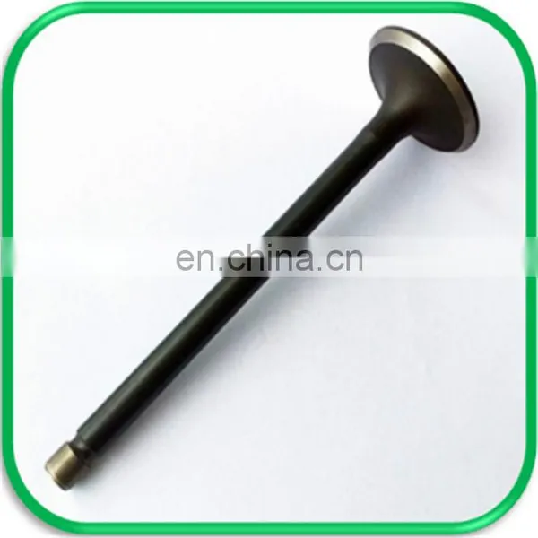 Cross-country Spare Parts Engine Valve for Izuzu Bighorn Ubs69 4XJ1 4JG2 4ZE1 photo-5