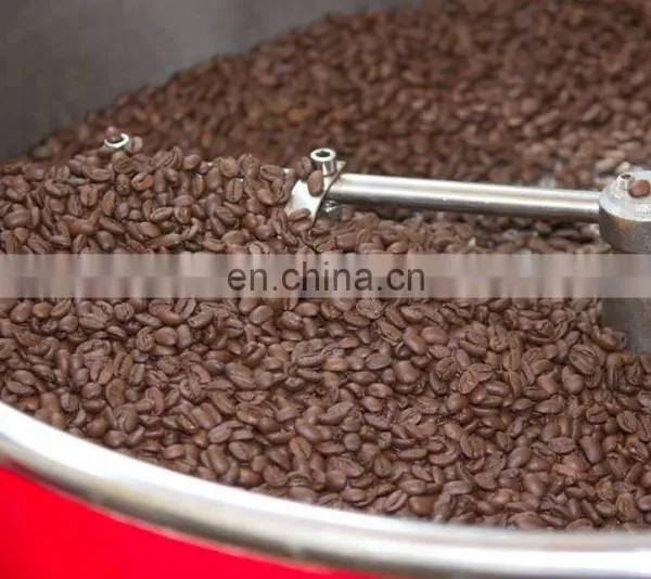 Robusta Green Coffee Bean for Sales Vietnam Origin photo-3