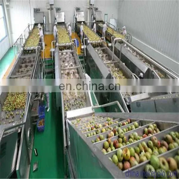 Concentrated Orange Juice Production Line photo-2