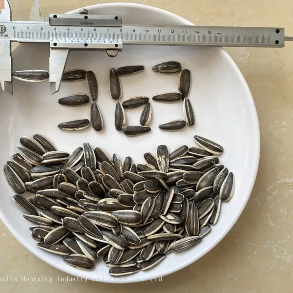 Striped Sunflower Seeds Raw in Shell Confectionery photo-3