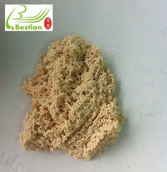 Lactic Acid Decolorizing Resin photo-3