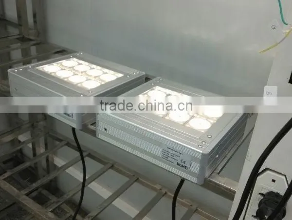 Outdoor Led Billboard photo-2