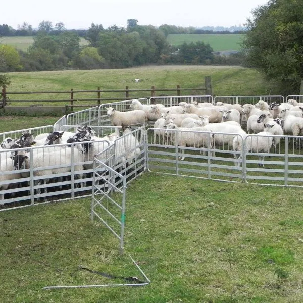 Supplier Hot Sale Low Price Goat & Sheep Multiple Sizes Galvanized Fence Yard Panels photo-4