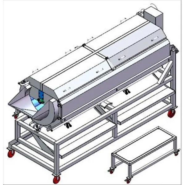 Automatic Fruit Washer Peeler Processing Line Fresh Sweet Potatoes Carrots Onions Lemons Mangos Cleaning Drying Sorting Features photo-5