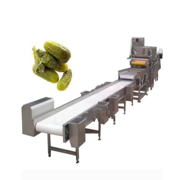 Commercial Small Pickled Cucumber Processing Equipment