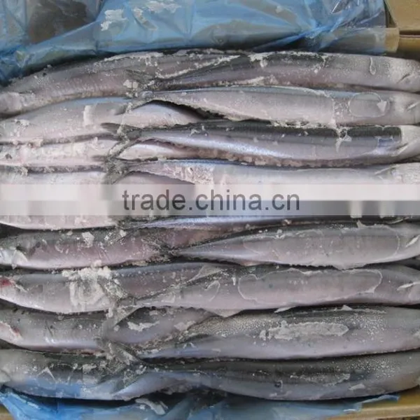 Seafrozen Pacific Saury wr