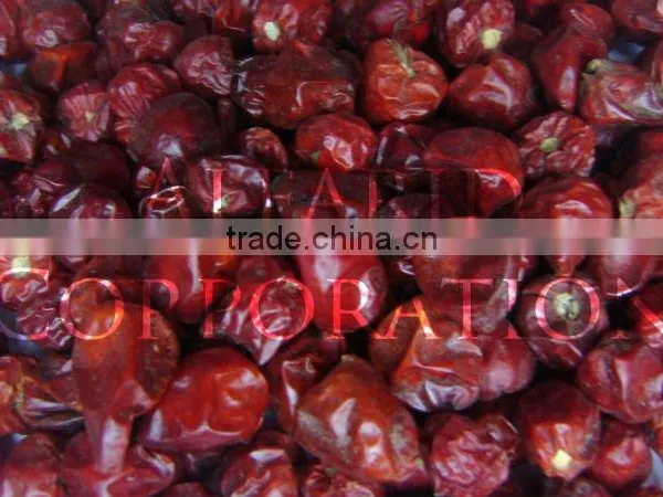 Dried Red Chili Pakistan