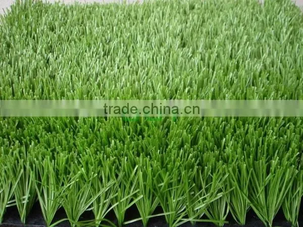 School Football Field Use C Shape Turf Grass photo-2