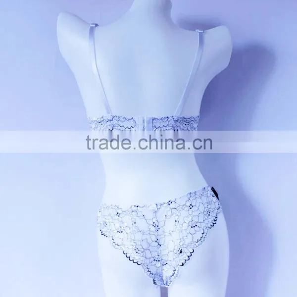 Private Label Bra Set Sexy Transparent Panties and Bra Luxury Bra and Panty Sets Supplier's Choice photo-3