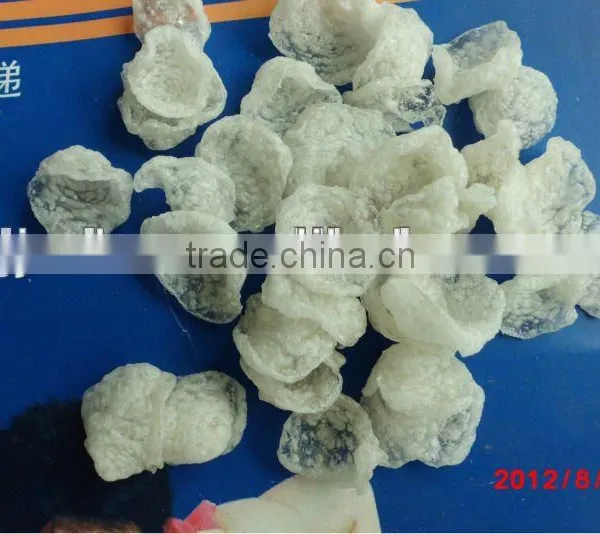 Large Capacity Automaic Modified Starch Extruder/Processing Machines photo-3