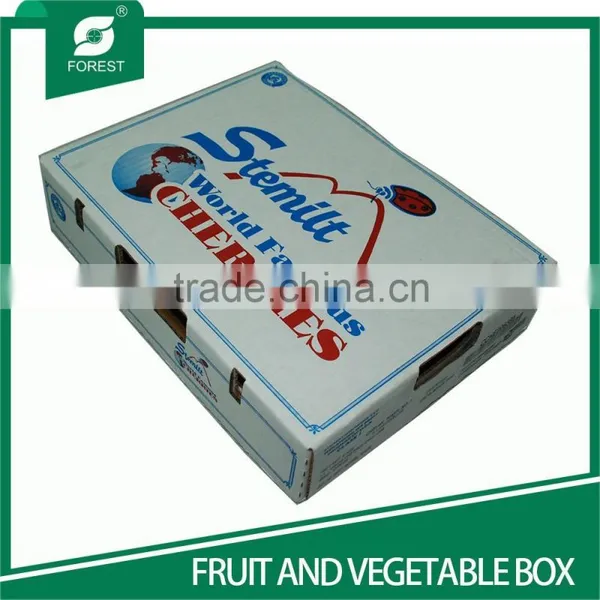 NEW STYLE WHITE CORRUGATED FRUITS PACKAGING BOXES WITH HOILES photo-3