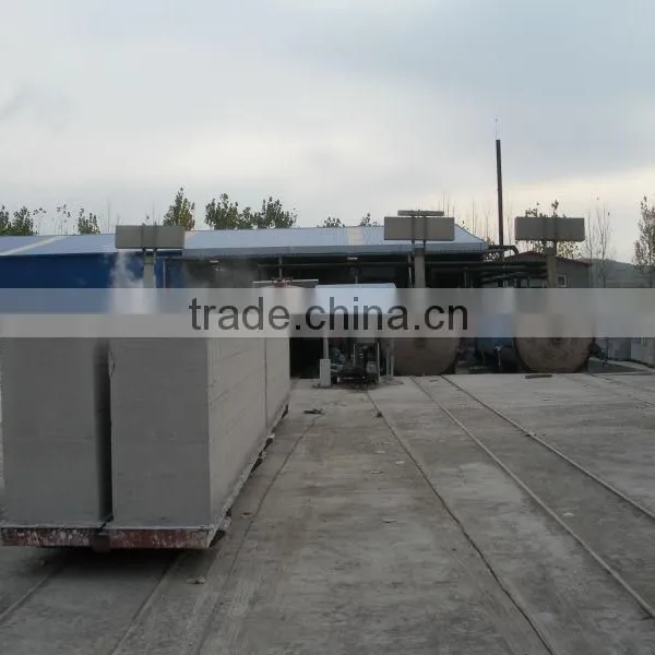 TOP Quality Fully Automatic Autoclaved Light Weight Concrete Block Making Machine for Sales - TIANYUAN BRAND photo-6