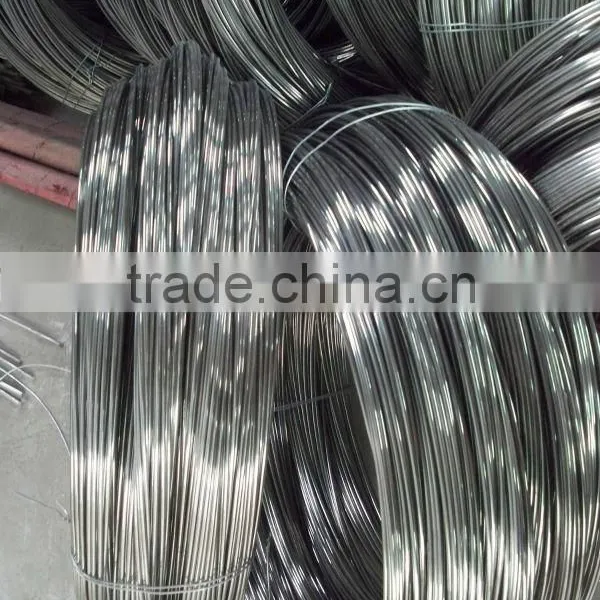 Stainless Steel Wire Cloth