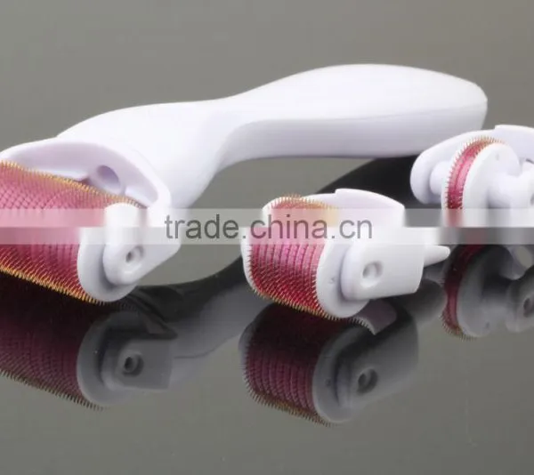 Manufacture Direct Sale China Derma Roller 3 in 1 Facial Derma Roller photo-2
