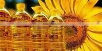 Refined Sunflower From Serbia photo-2