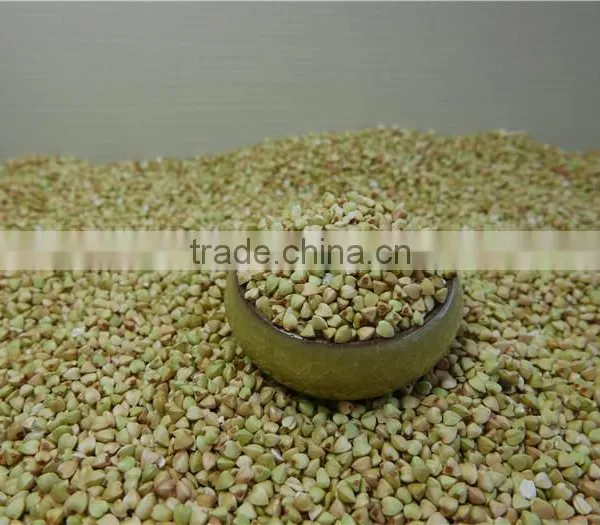 Good Manufacture of Raw Buckwheat Kernel Crop 2016 photo-5