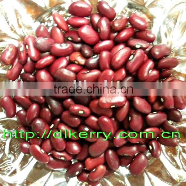 Crop 2015 Chinese Small Red Kidney Beans
