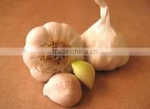 Cheap Wholesale Natural White Fresh Garlic With Mesh Bag photo-2