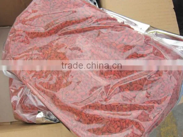 Goji Berry photo-3