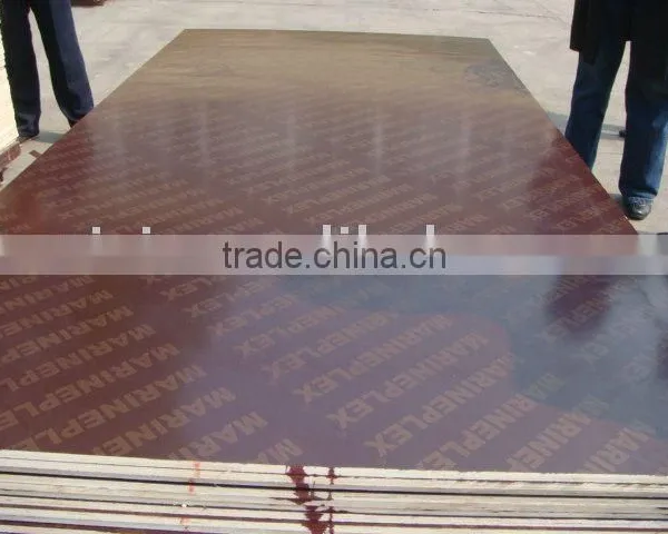 Construction Plywood
