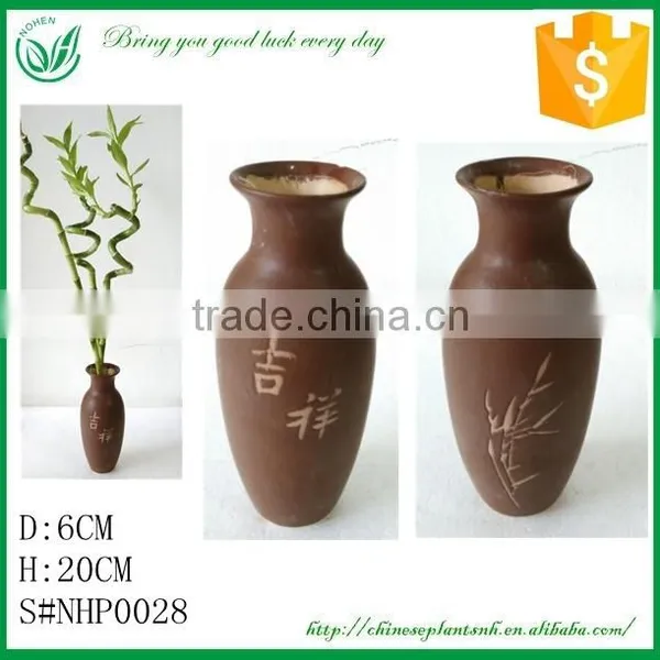 Sprial or Straight Lucky Bamboo Ceramic Flower Pot photo-4