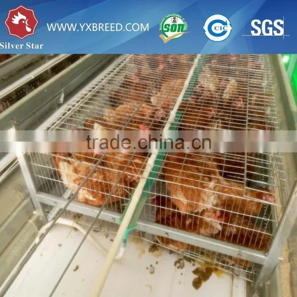 Used Poultry Equipment for Sale photo-4