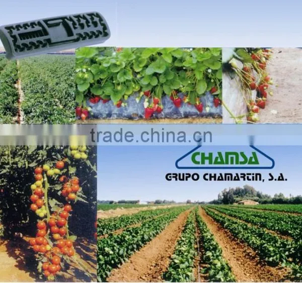 Flat Drip Irrigation photo-4