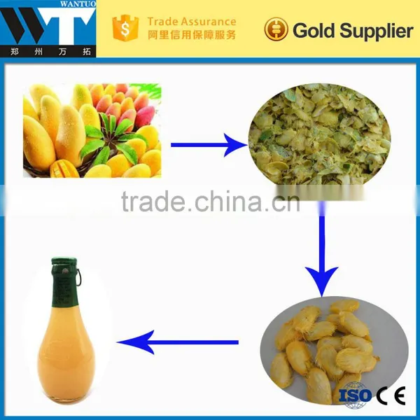 Factory Price Mango Juice Processing Machine/ Mango Juice Extractor photo-4