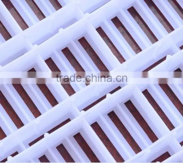 Pig Farming Equipment Slat Floor for Pig photo-4