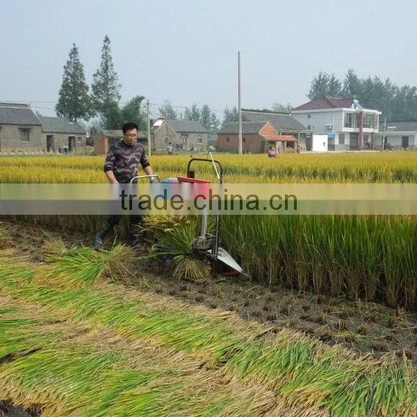 New Small Grain Binder for Sale photo-2