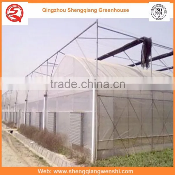 China Supplier Multi-span 7.2m Plastic PE Film Agriculture Greenhouse for Sale photo-4