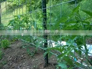 U-type Fence Posts on Hot Sale China Supplier on Sale photo-3
