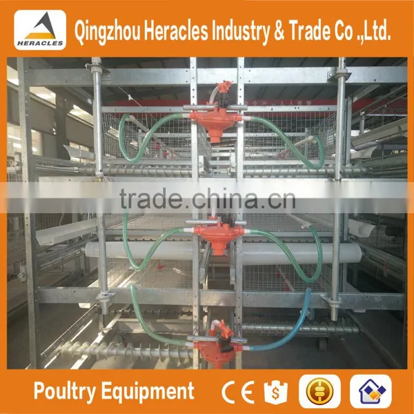 Trade Assurance Automatic Chicken Broiler Cage for Sale photo-2