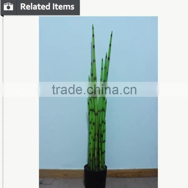 2015 New Home Decoration Maguey Potting Artificial Green Plant photo-5