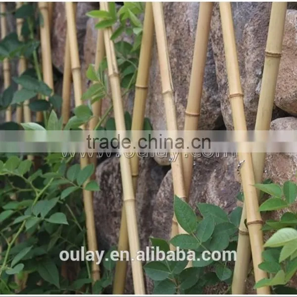 Folding Artificial Bamboo Trellis For Flowers Arrangement photo-6