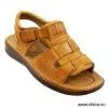 Sell Shoes