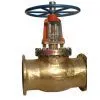 Globe Valve