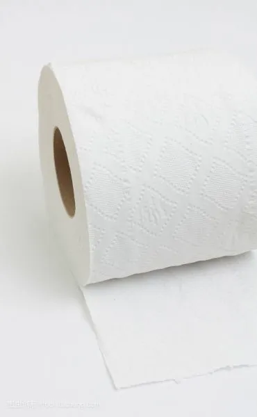 White 100% Virgin Pulp Wood Pulp Toilet Tissue Paper Hygienic